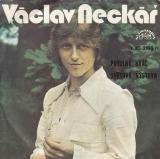 SP Václav Neckář, Potulný hráč, Světová výstava, 1977