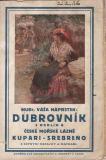 Dubrovník s okolím a České mořské lázně Kupari - Srebreno / V. Náprstek, 1923