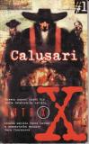 Akta X Calusari / Garth Nix, 1997