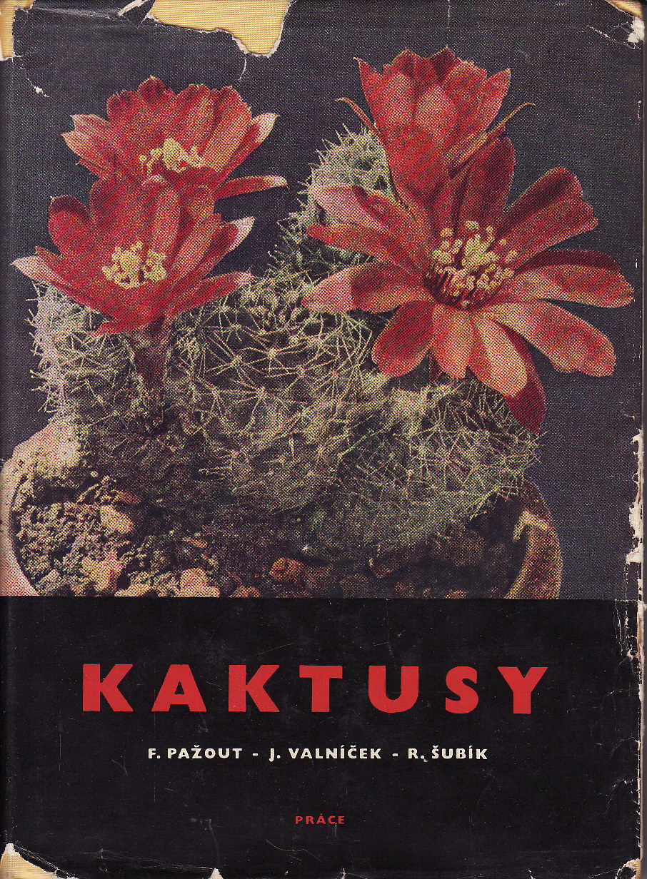 Kaktusy / Pažout, Valníček, Šubík, 1965