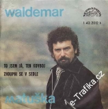 SP Waldemar Matuška, 1976