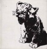 Příběh lvice Alsy / Joy Adamsonová, 1969, bez ob.