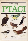 Ptáci / Walter Černý, 1980