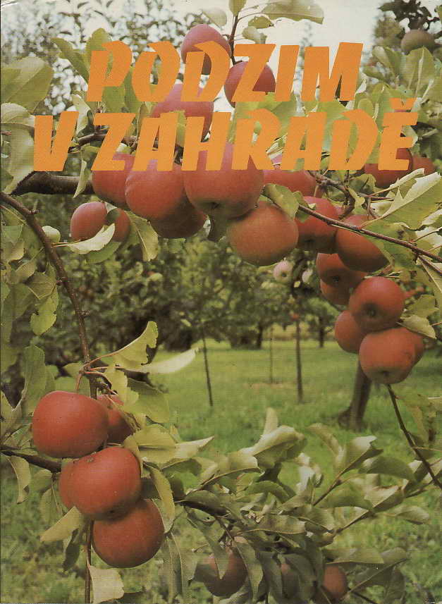 Podzim v zahradě / př. Dr. Karel Floss, 1981